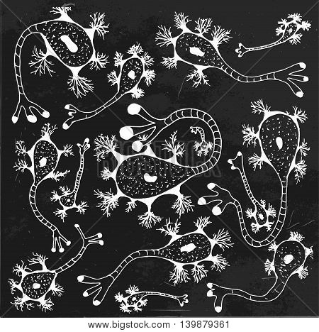 Biological background vector illustration. Micro world editable concept. Hand drawn outlined white doodles on a black textured blackboard. Scentific bio pattern.