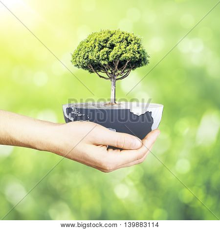 Male hand holding half a globe with large tree on abstract background. Green earth concept. 3D Rendering