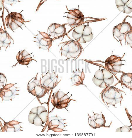 Seamless pattern of watercolor cotton flowers branches, hand drawn isolated on a white background