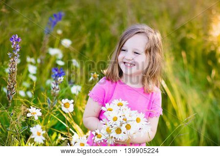 Child picking wild daisy flowers in field. Kids play in a meadow and pick flower bouquet on summer day. Toddler girl outdoors in spring.