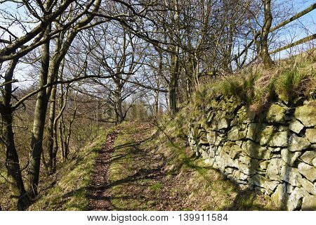 Path near village Liskov in spring mountains Ceske Stredohori