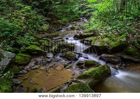 Small Native Trout Stream in Western Pennsylvania.