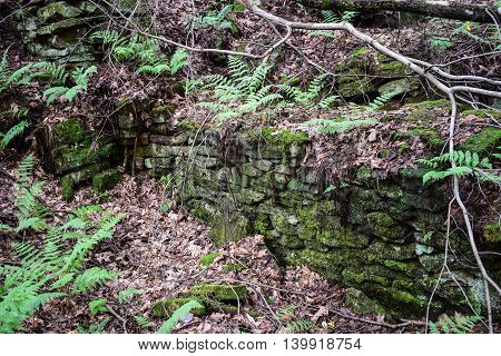 Old Homestead foundation from the 19th century in the Appalachian Mountains.