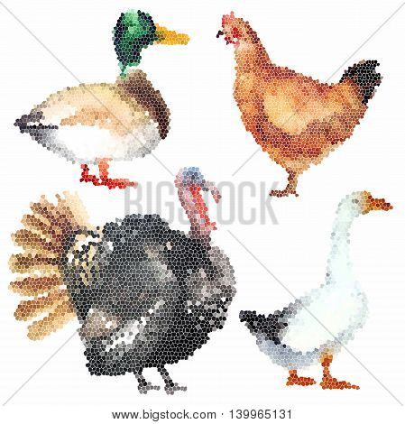 Set of colourful mosaic farm birds hand-drawn
