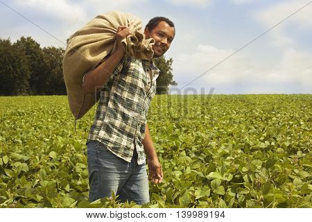 Brazilian coffee farmer at coffee plantation carrying a sack with beans