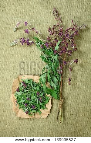 Fireweed.Dried herbs for use in alternative medicine.Herbal medicine phytotherapy medicinal herbs.For preparation of infusions decoctions tinctures powders ointments tea.Background green cloth