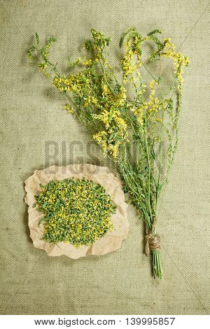Melilot.Dried herbs for use in alternative medicine.Herbal medicine phytotherapy medicinal herbs.For preparation of infusions decoctions tinctures powders ointments tea.Background green cloth