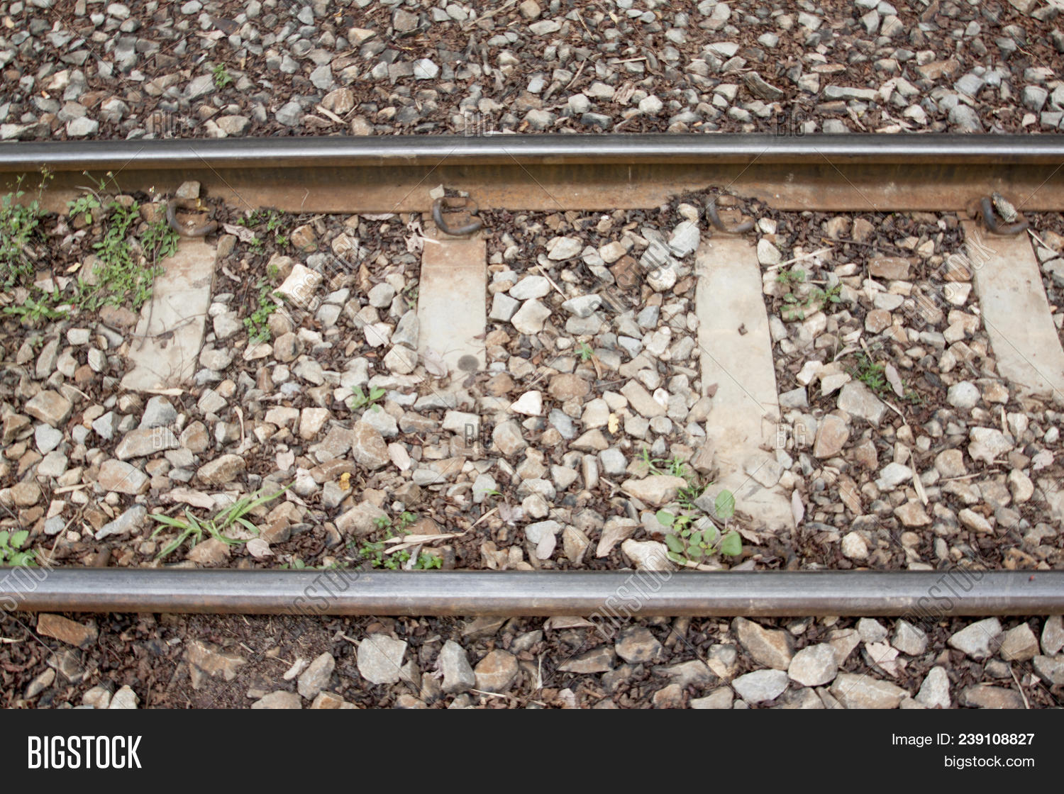 Railroad Tracks Image & Photo (Free Trial) Bigstock