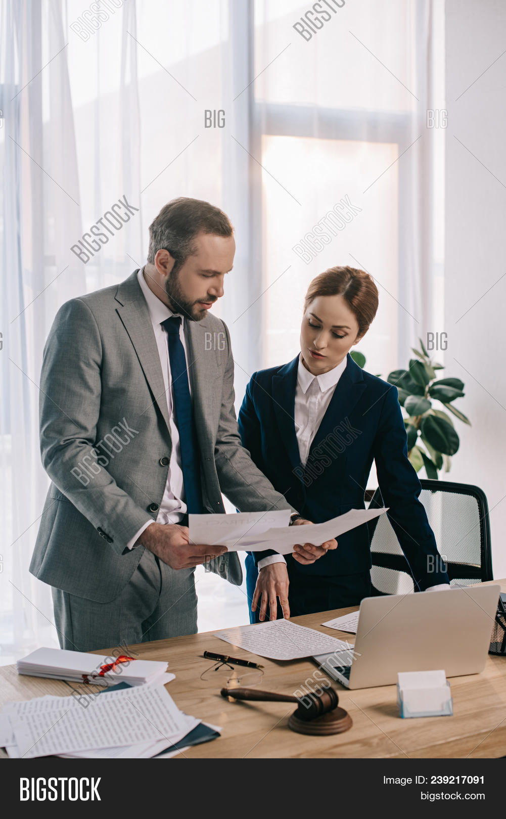 Lawyers Suits Working Image & Photo (Free Trial) Bigstock