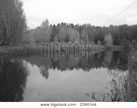 Lac
