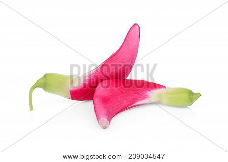 Red Agasta (sesban) Vegetable Isolated O White Background