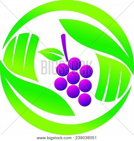 Fruit Farm Foundation Logo Design Template Isolated Vector