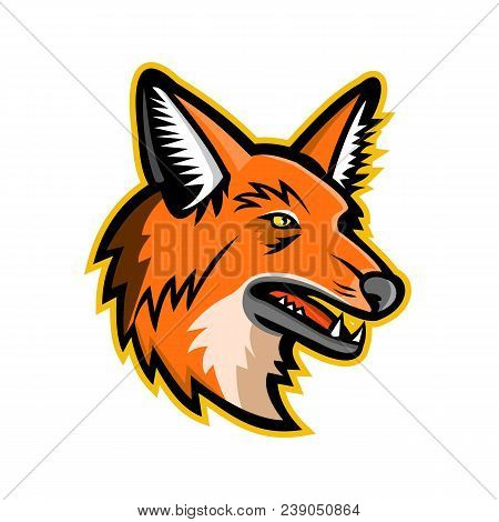 Sports Mascot Icon Illustration Of Head Of A Maned Wolf, The Largest Canid Of South America Viewed F