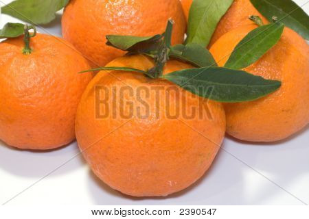 Мандарины с листьями