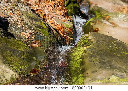 View Of The Brook Close-up, Goryachy Klyuch, Russia. Copy Space For Text