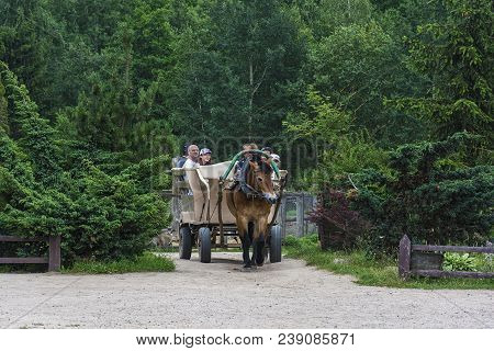 Belarus, Dududki - July 11, 2017: Tourists Ride On A Cart Pulled By A Horse