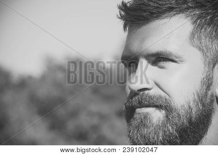 Man Or Hipster With Beard And Moustache Hair On Caucasian Face On Sunny Summer Day On Blurred Natura