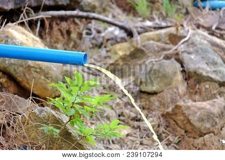 Waste Water Flowing Out From A Blue Pvc Drainpipe For A Green Environment Concept