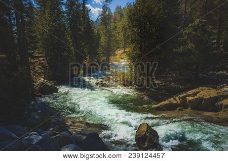 Beautiful Marble Fork Kaweah River Flowing Through The Dense Forest Along The Tokopah Valley Trail, 