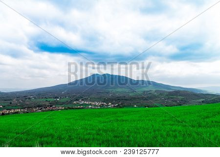 Sky And Grass Background, Fresh Green Fields Under The Blue Sky In Spring