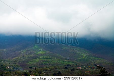 Sky And Grass Background, Fresh Green Fields Under The Blue Sky In Spring