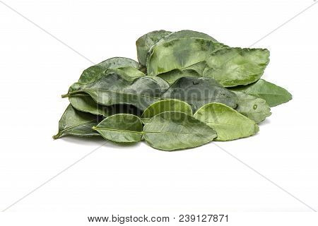 Lime Leaves With Drops Isolated On White Background