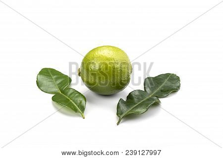 Leaves And Lime Fruit Isolated On White Background