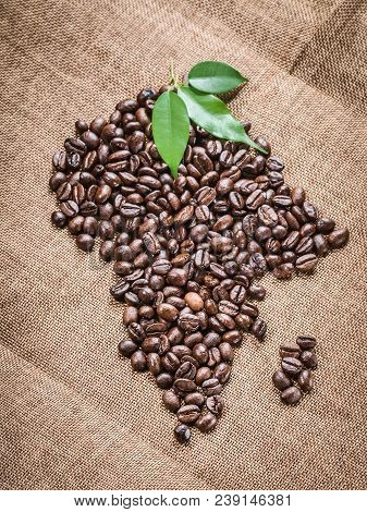 Continent Africa And The Island Of Madagascar From Fresh Roasted Grains Of Robusta Arabica Coffee Wi
