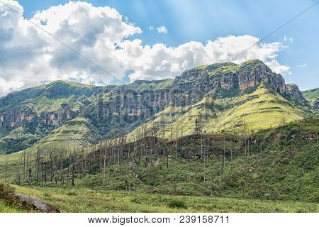 The View From The Camp Site At Injisuthi In The Kwazulu-natal Drakensberg. Van Heiningen Pass Is In 