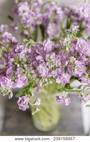 Bouquet Of Beautiful Lilac Color Gillyflower, Levkoy Or Mattiola. Spring Flowers In Vase On Wooden T
