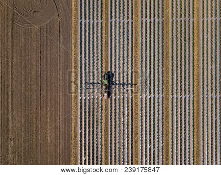 Straight down view of tractor spraying chemical fertilizer or pesticide on a tomato field.
