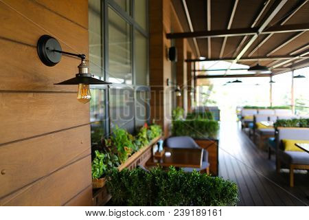 Close Up Electrolier And Retro Lamp In Cafe Background, Room Plants. Concept Of Interior Design And 