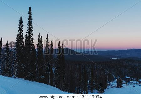 Landscape With Fir Trees And Mountains In Winter, Sunset, Pink Sky.