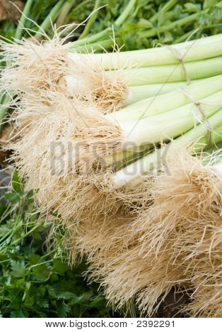 Leeks สดในตลาดท้องถิ่น
