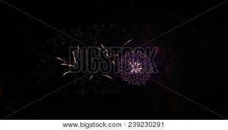 Celebration Firework In The Black Night Sky