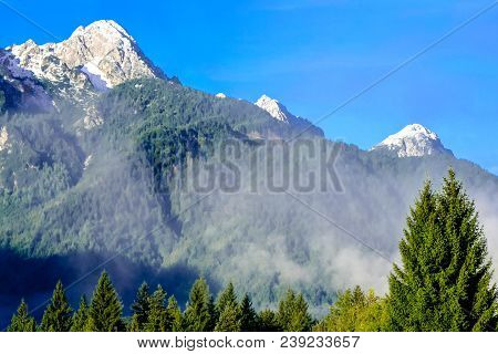 Mountain Peaks, Fir Forest And Morning Fog On The Slopes Of The Alps