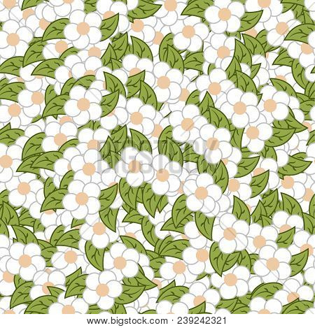 Flat Flower Pattern Of Camomiles And Leaves