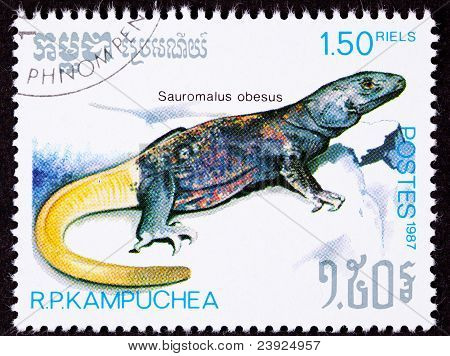 Abgebrochene kambodschanischen Briefmarke gelb gemeinsame Chuckwallas Sauromalus Ater Obesus