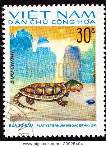 Annullato il francobollo Vietnamita tartaruga testa Platysternon Megacephalum, acquerello