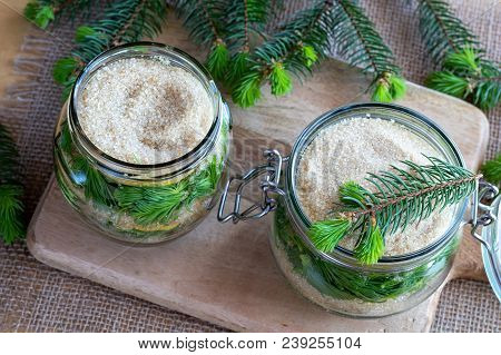 Two Jars Filled With Young Spruce Tips, Lemon And Cane Sugar, To Prepare Homemade Syrup Against Coug