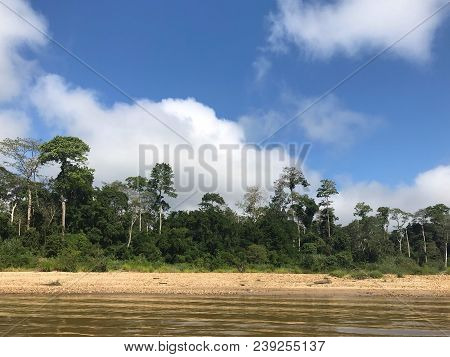 View Of Part Of A Green Rain Forest From The Kuala Tahan River Located In  Pahang National Park, Mal