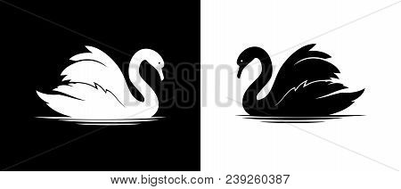 Vector Illustration Of Swans Silhouettes In Black And White Variants.