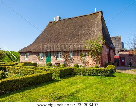 Croft With Thatch Roof In Haseldorf, Niederelbe, Schleswig Holstein, Germany, Europe