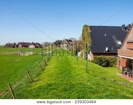 Houses On The Dike In Haseldorf, Niederelbe, Schleswig Holstein, Germany, Europe