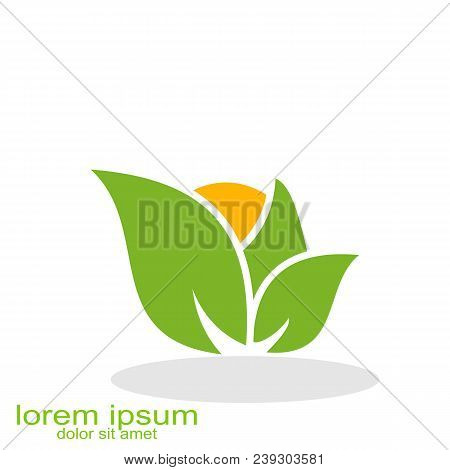 Creative Design Sun Leaf Logo Nature Landscape