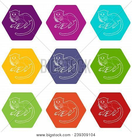 Imperial Tamarin Icons 9 Set Coloful Isolated On White For Web