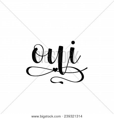 Oui Hand Lettering. Yes Phrase In French. Ink Illustration. Modern Brush Calligraphy. Isolated On Wh