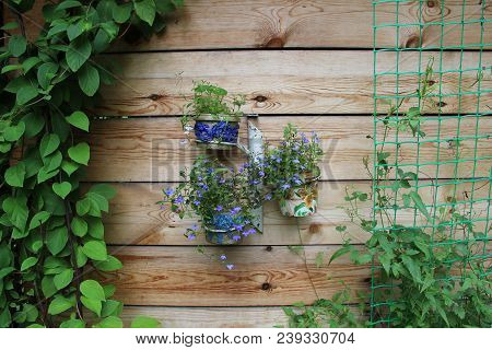 View Against On Wooden Wall Decorated By The Pots With Blue Flowers And Other Green Plants