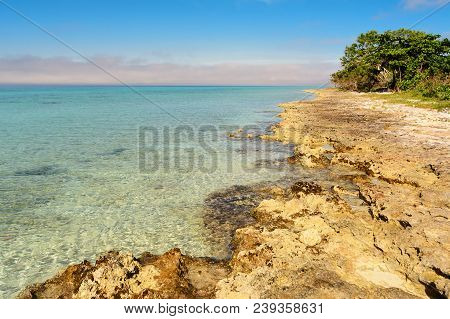 Rocky Coast At Playa Larga In Cuba