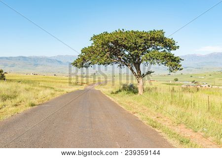 The Farm Landscape Next To The Road Between Injisuthi And Loskop In The Kwazulu-natal Province. Hous